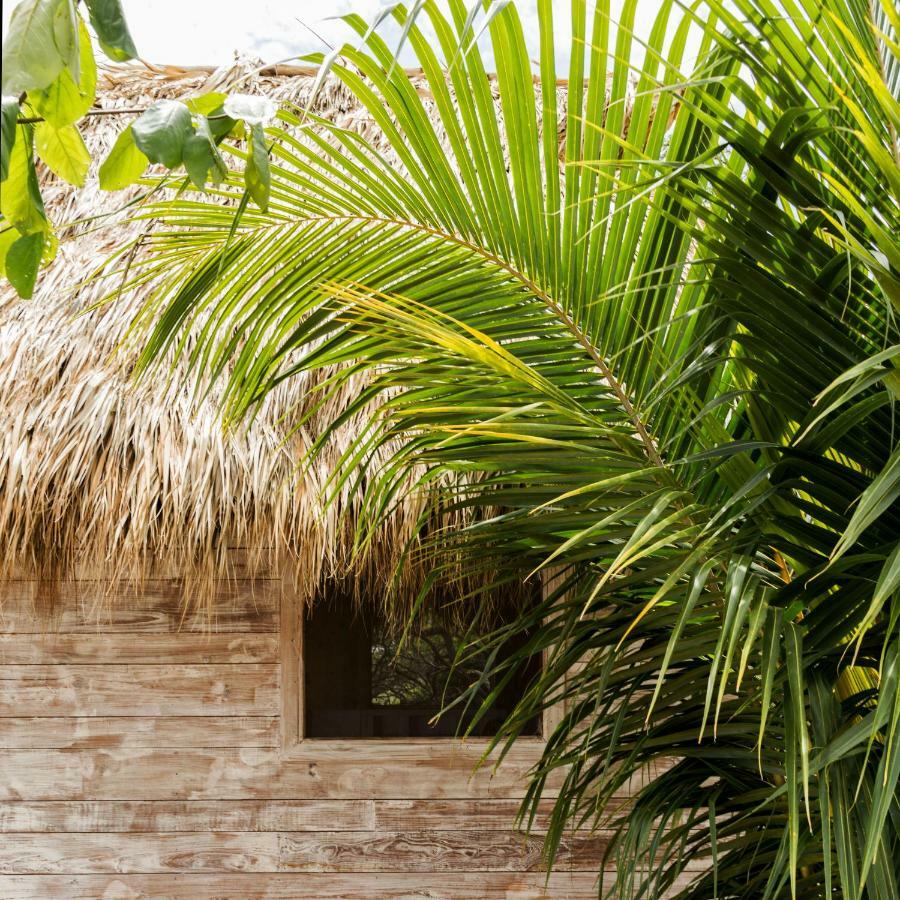 Suyo Cabanas Popoyo | Hotel Suyo El Limón エクステリア 写真
